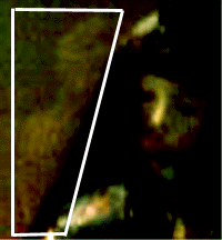 e0103408_12364196.gif