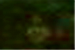 e0103408_12382910.gif
