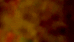 e0103408_12384126.gif