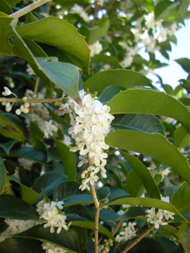 c0145209_2128514.jpg