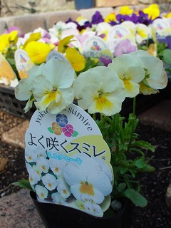 c0190010_15173550.jpg