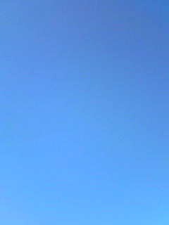 f0129610_8552044.jpg