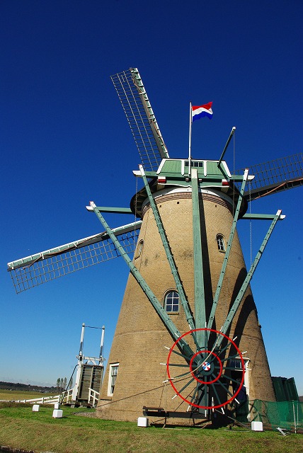 d0147812_1632577.jpg