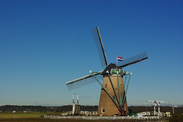 d0147812_16331287.jpg