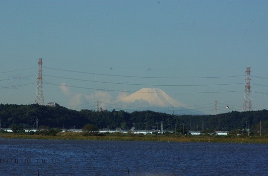 d0147812_163661.jpg