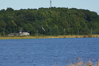 d0147812_2213010.gif