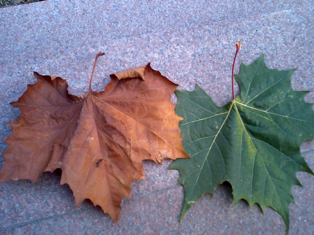 a0101715_2329613.jpg