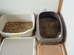 c0145016_1057076.jpg