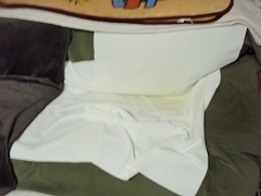 c0145016_1057127.jpg