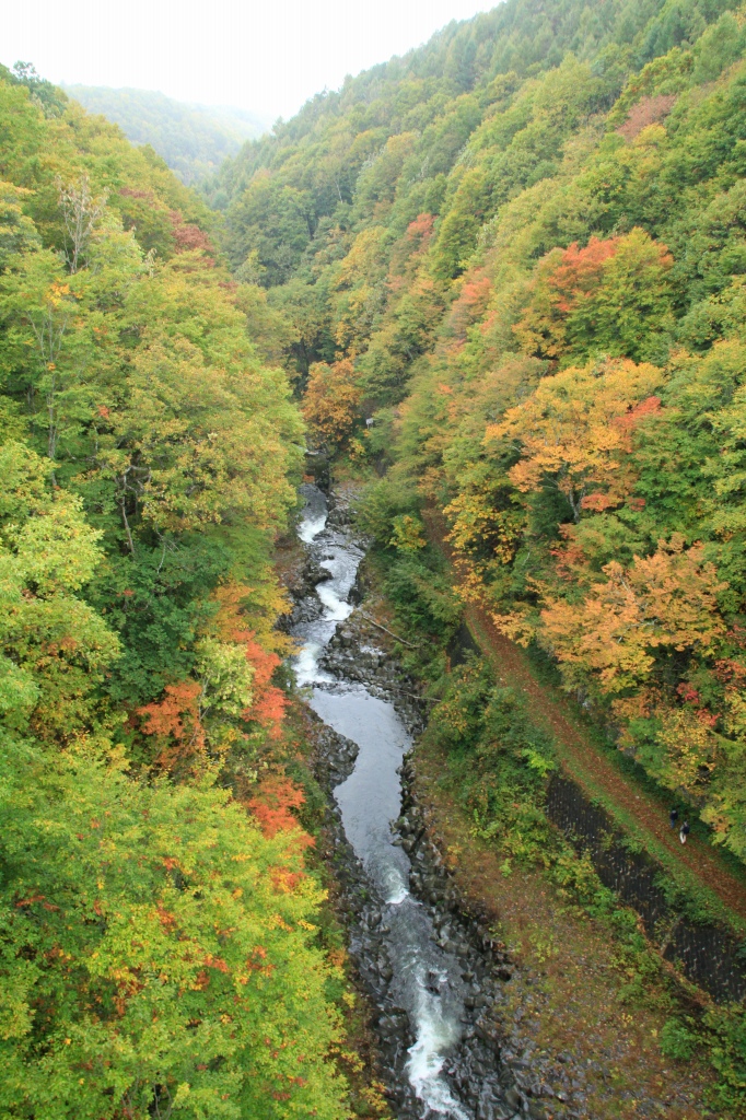 b0162824_19334497.jpg