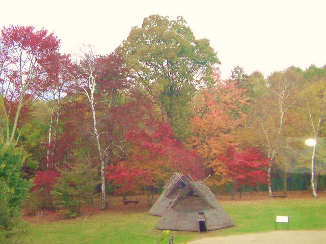 e0016828_1223111.jpg