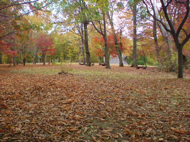 e0016828_1224237.jpg