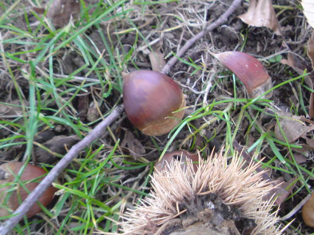 e0016828_1265945.jpg
