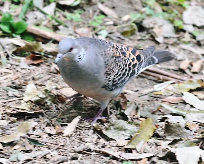 a0126632_20301863.jpg