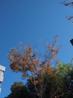 a0138134_23505077.jpg