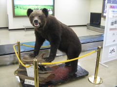 b0042334_0503855.jpg