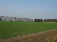 b0042334_0512613.jpg