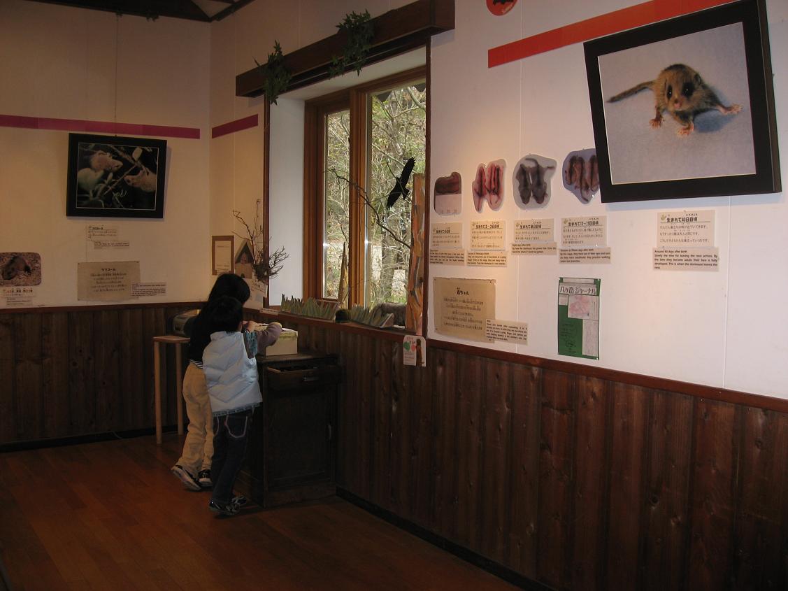 b0138734_21191736.jpg