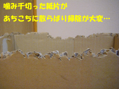f0008935_11133179.gif