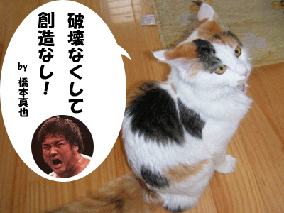 f0008935_1117163.gif