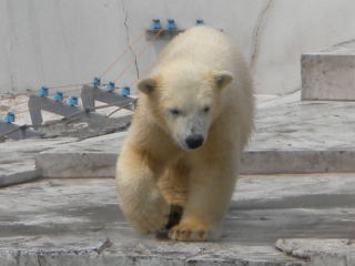 c0218237_8452321.jpg