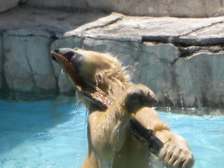 c0218237_8455263.jpg