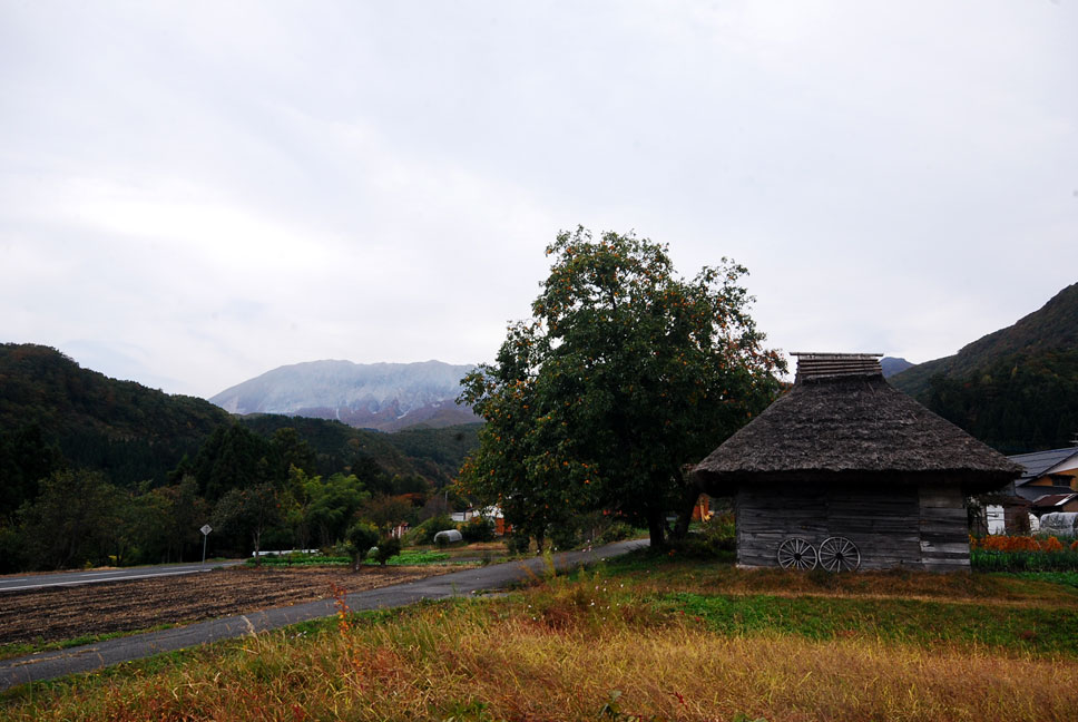 b0075541_020484.jpg