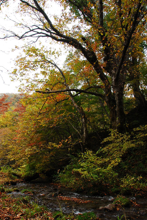 b0075541_19204995.jpg