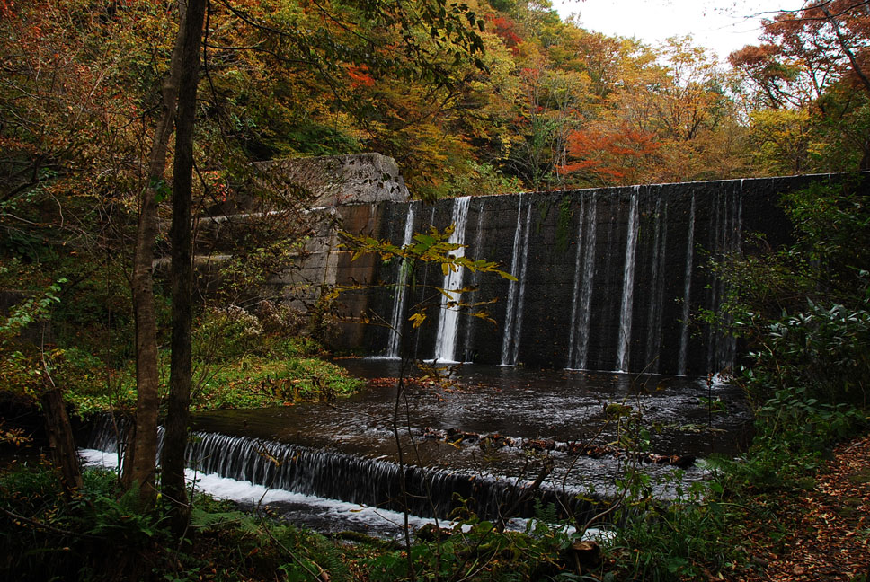 b0075541_19361589.jpg