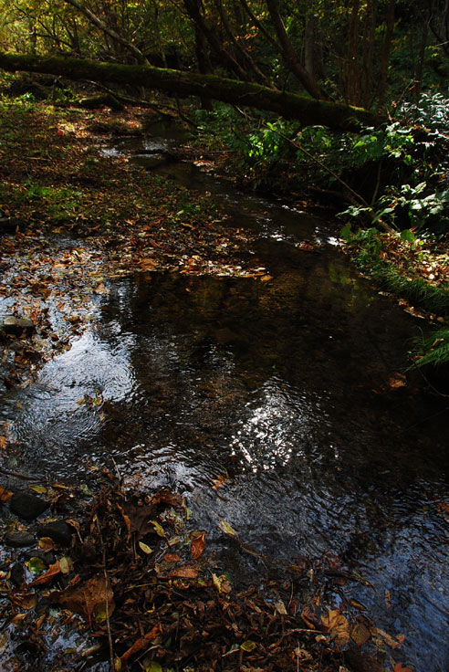 b0075541_19373987.jpg