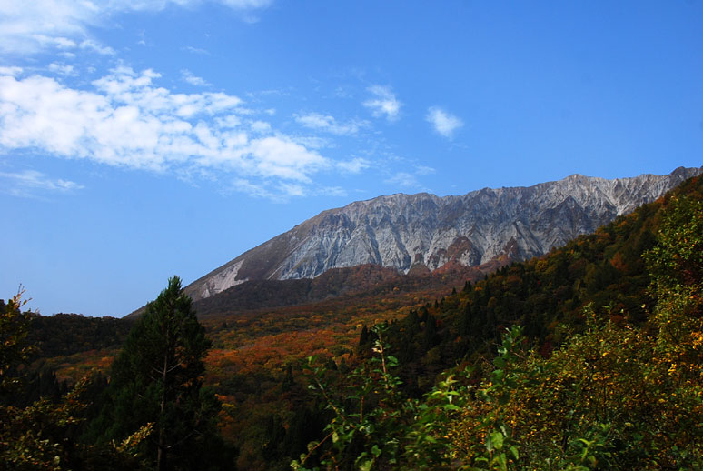 b0075541_2051515.jpg