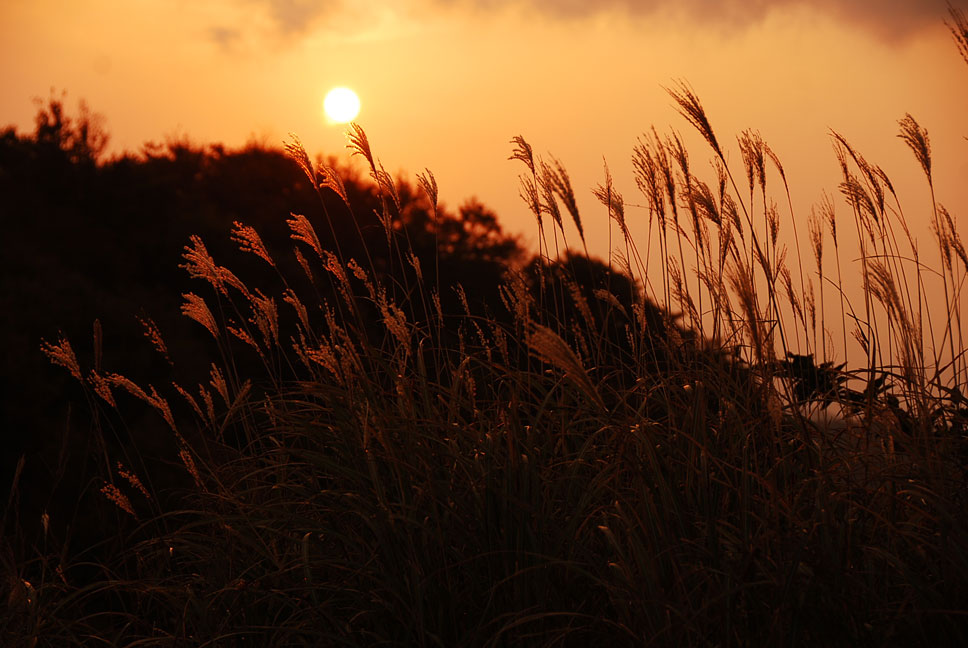 b0075541_2123237.jpg