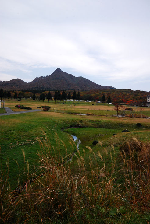 b0075541_213710.jpg