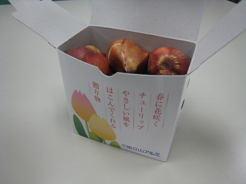 e0051142_12355341.jpg