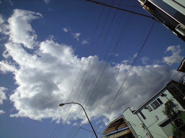 b0090243_23554579.jpg