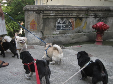 e0018143_3243937.jpg
