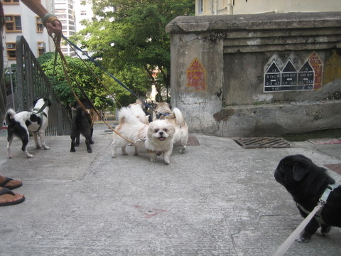 e0018143_325480.jpg