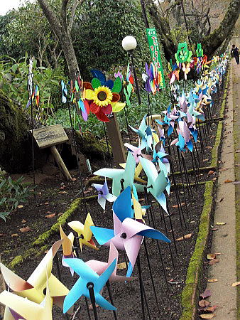 f0094843_0542222.jpg