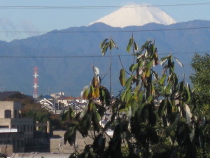 e0121548_21353428.jpg