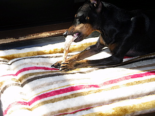 c0123149_225069.jpg