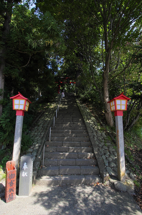 c0198351_65016.jpg