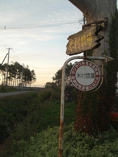 f0009451_1311433.jpg