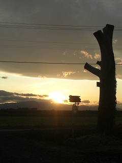 f0009451_13125823.jpg