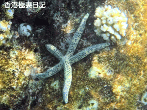 f0190653_10195118.gif