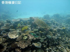 f0190653_21253560.jpg
