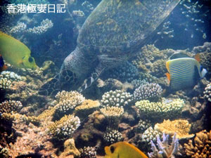 f0190653_21254732.jpg