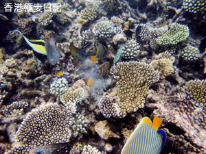 f0190653_21262963.jpg