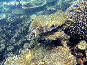 f0190653_2126535.jpg