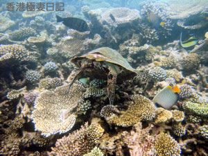 f0190653_21271753.jpg
