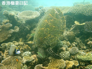 f0190653_21274187.jpg